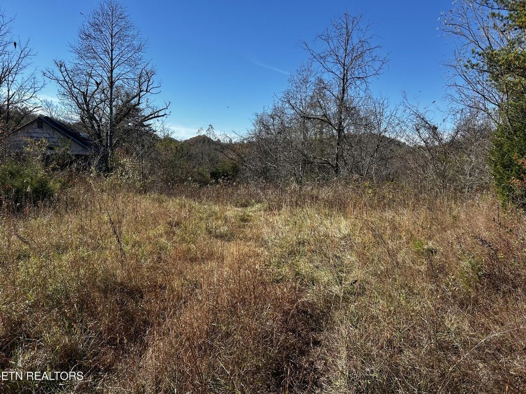 0 Shaddon Road, Tellico Plains