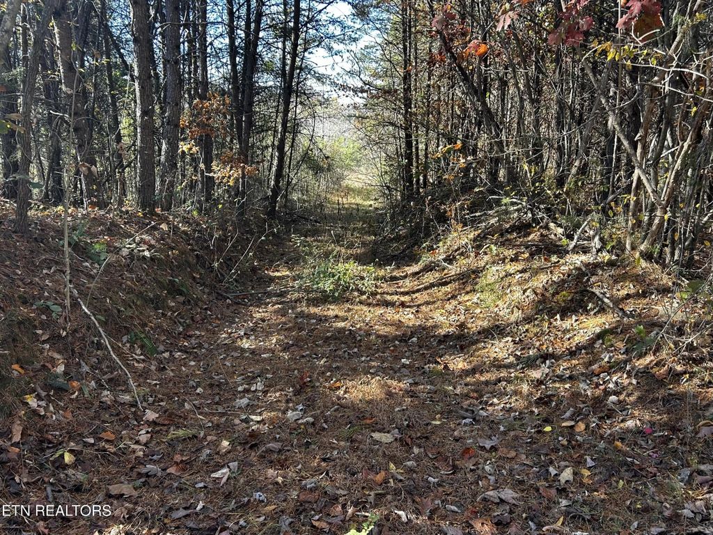0 Shaddon Road, Tellico Plains