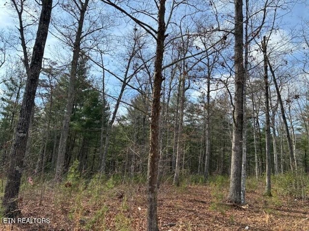 0 Mountain Ash Way, Sevierville