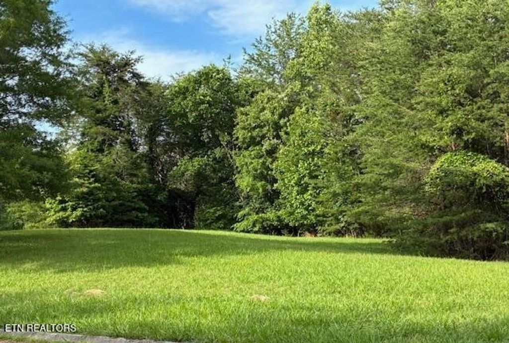 17 Waterstone Drive, Dandridge