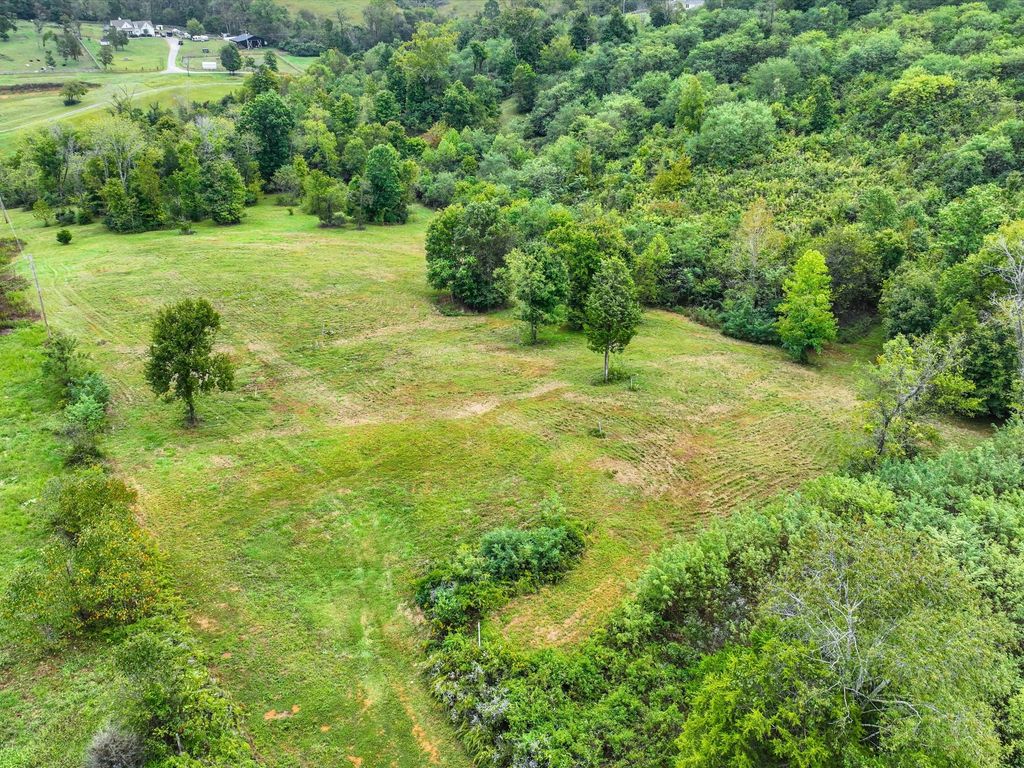 1384 Cliff Amos Rd, Spring Hill