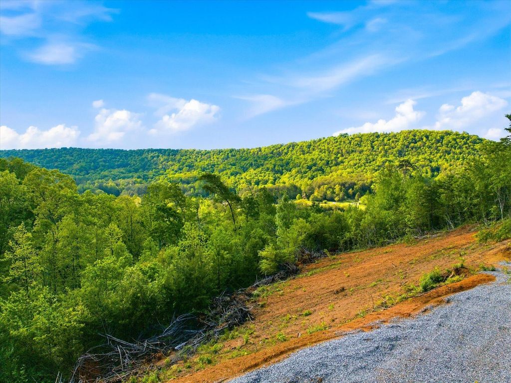 1776 Fairview Road, Tellico Plains