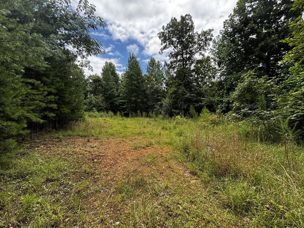 0 Orme Mountain Road, South Pittsburg