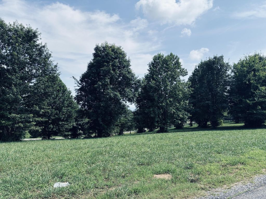 800 Sunset Circle, Jasper