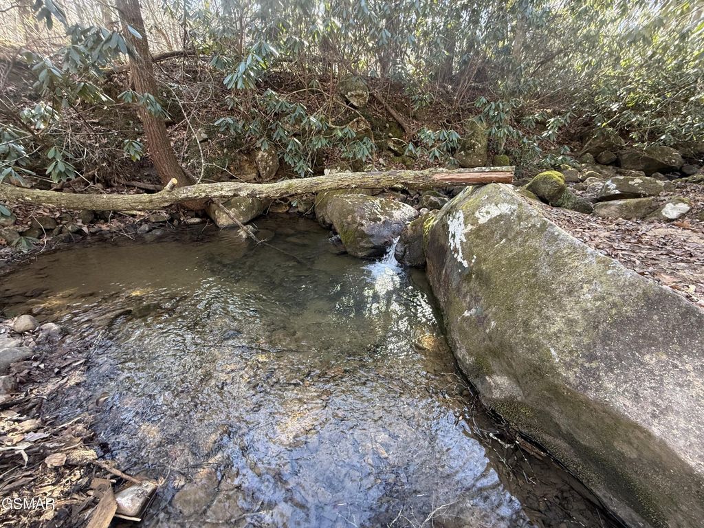 805 Bogard Creek Road, Cosby