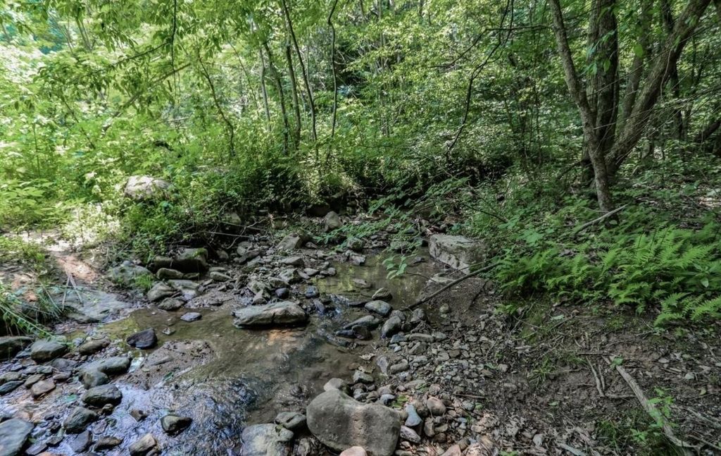 1120 Yellow Springs Road, Cosby