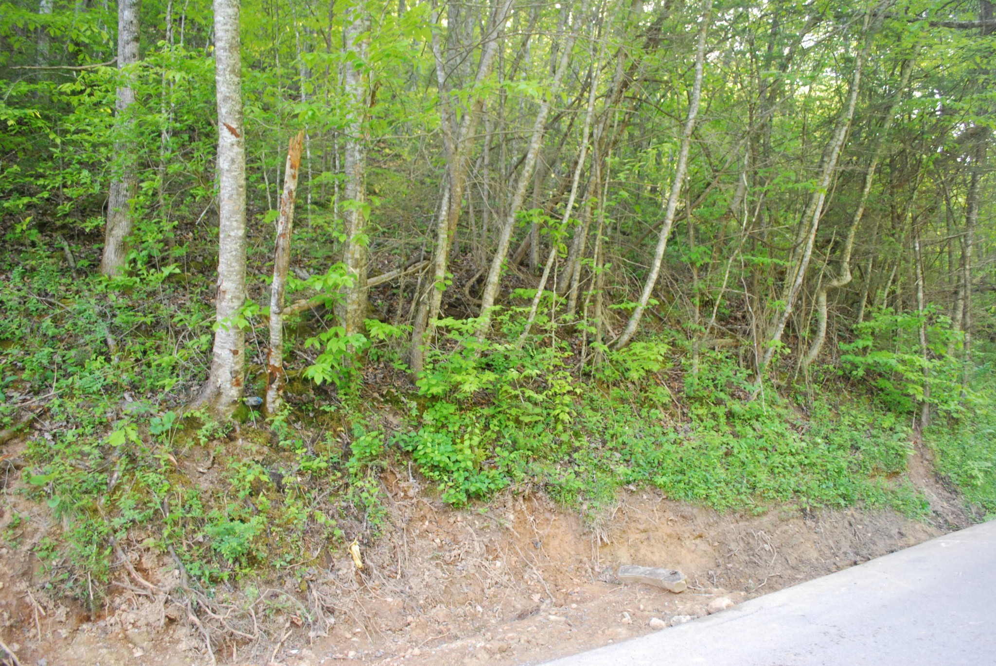 Photo of Listing #3320331