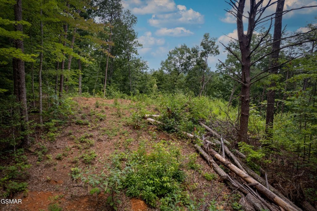 2 Verless Ogle, Sevierville