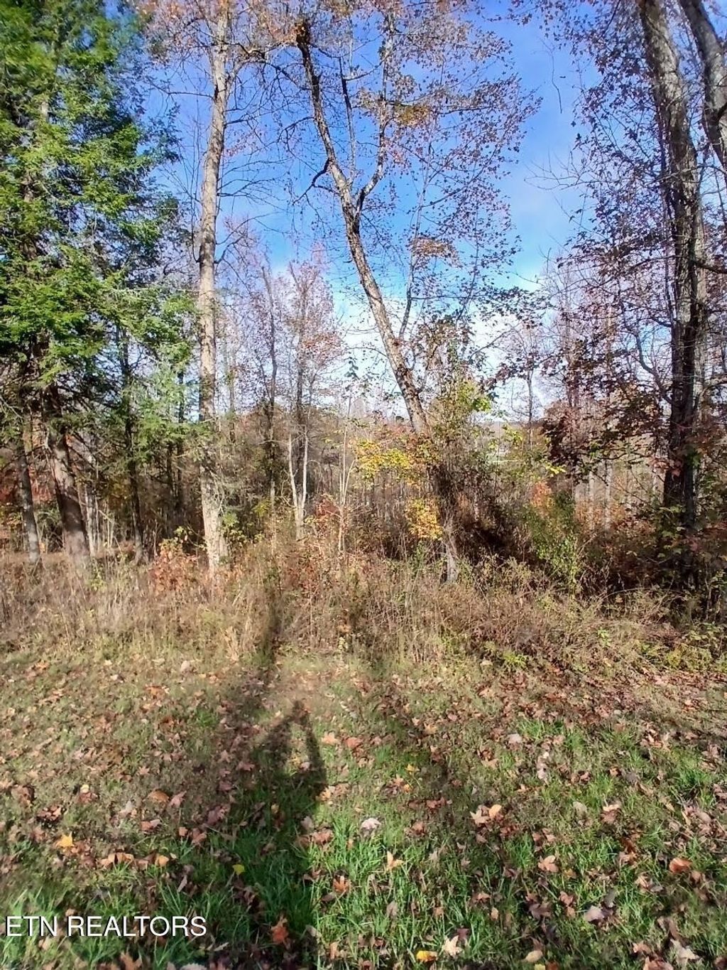 369 Walking Horse Tr, Rockwood