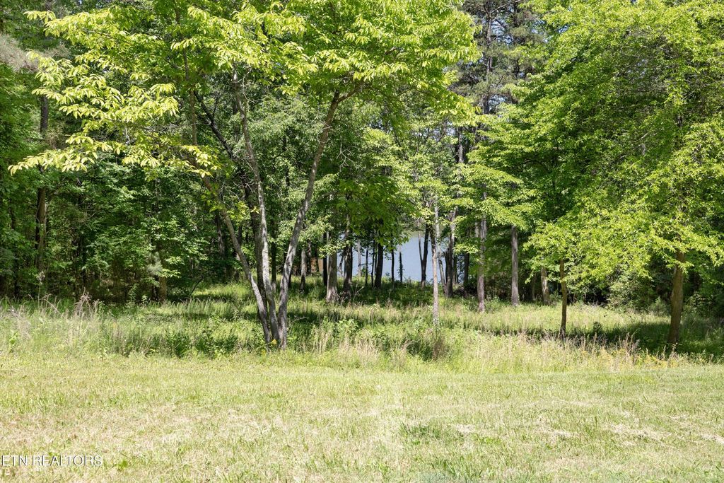772 Wood Duck Drive, Vonore