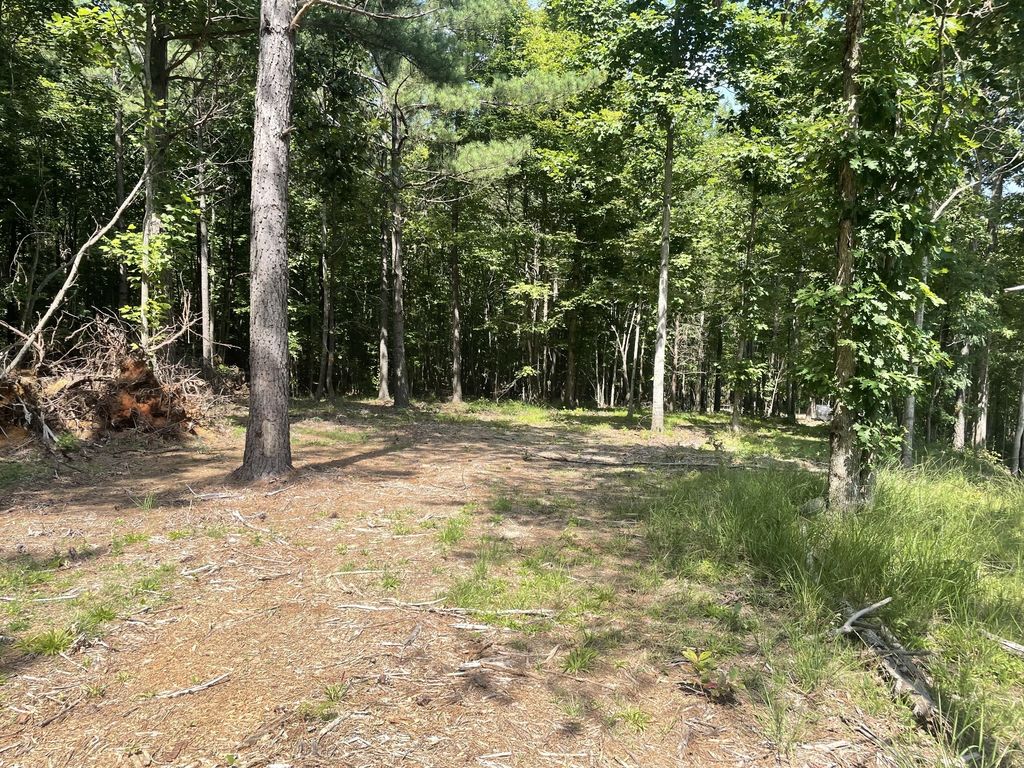 0 Tall Woods Ln, Spencer