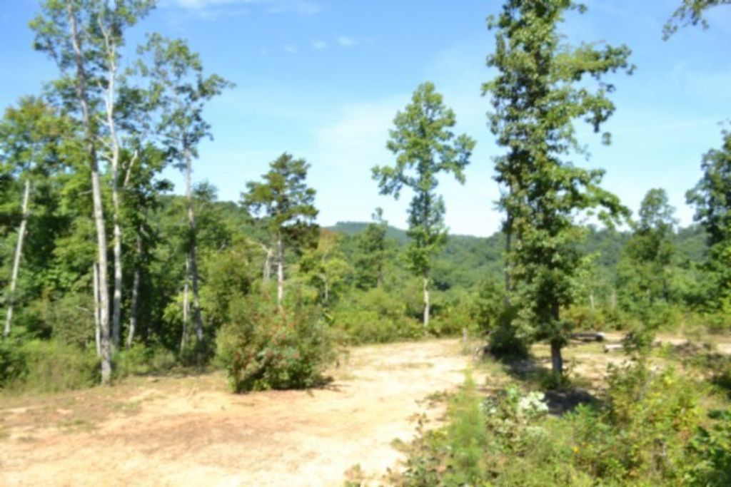 0 Rock Springs Rd, Celina
