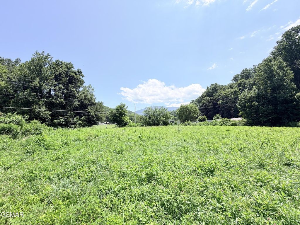 187 Hwy 32, Cosby