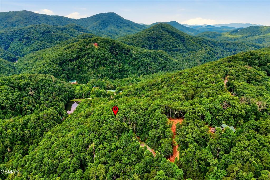 71 Redtail Road, Sevierville