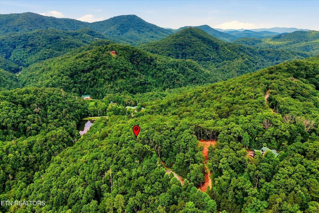 71 Redtail Rd, Sevierville