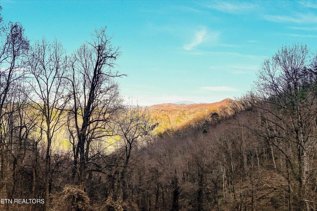 67 Balsam Slopes Rd, Sevierville