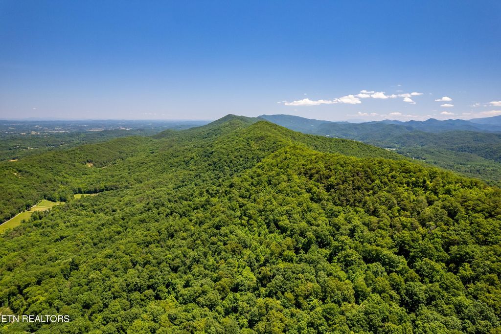 0 Butterfly Gap Rd, Maryville
