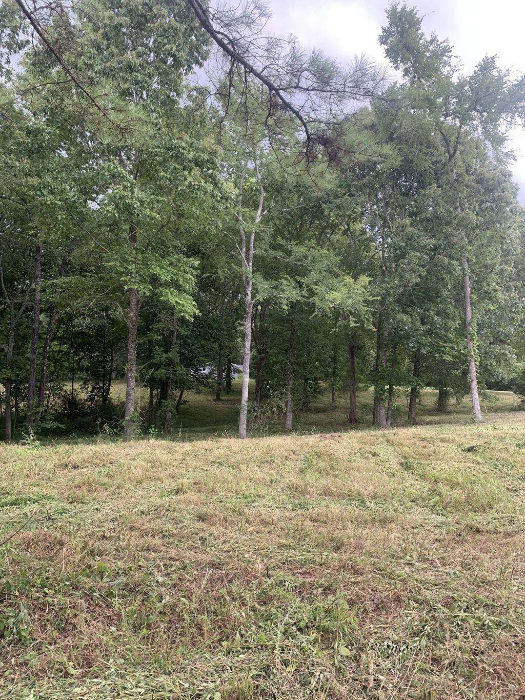 5 Grice Rd, Sardis