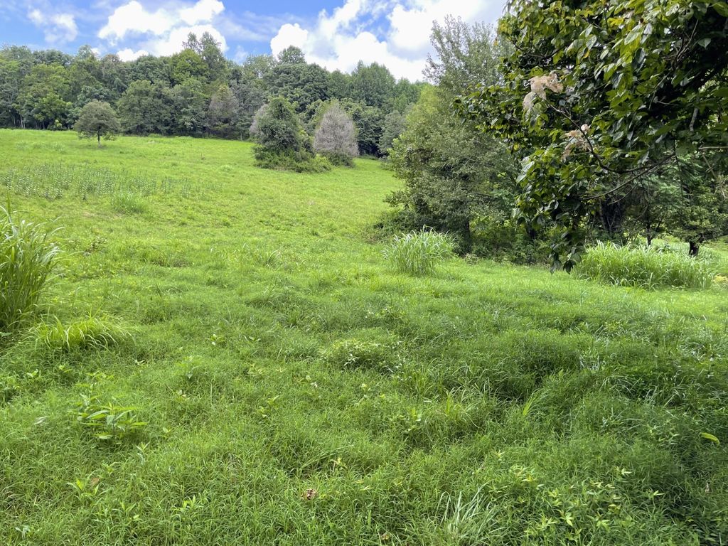 6461 Hwy 48 N, Cumberland Furnace