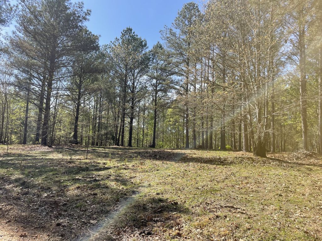 1001 Bj Rd, Centerville