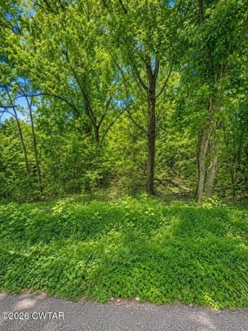 0 Reeves St, Lexington