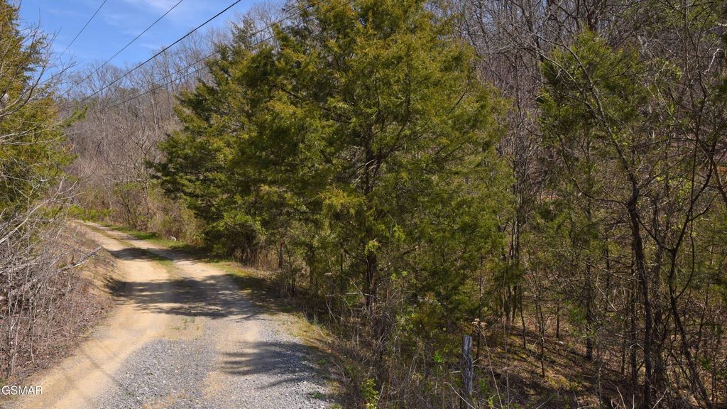912 Cooley King Road, Kodak