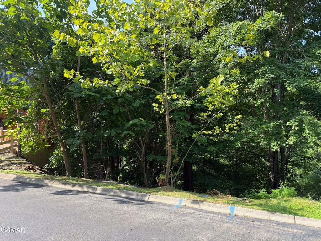 56 Smoky Ridge Way, Sevierville