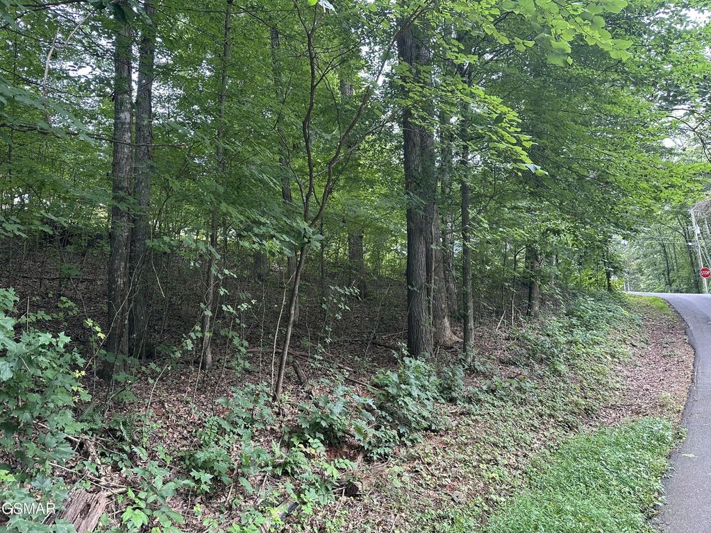 75 Highpoint Drive, Sevierville