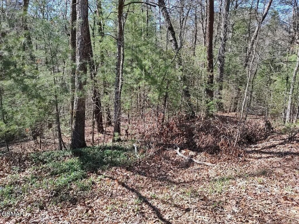 10 John Boy Trail, Sevierville