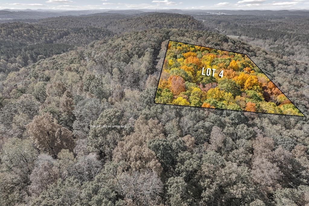 4 County Road 29, Riceville