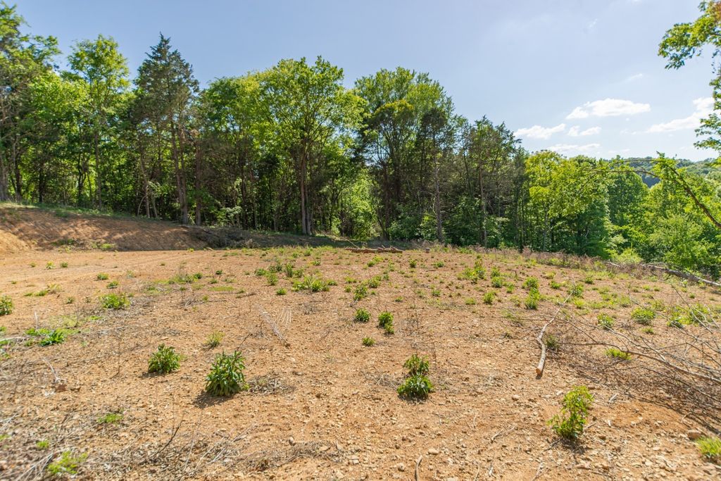0 Globe Rd, Lewisburg