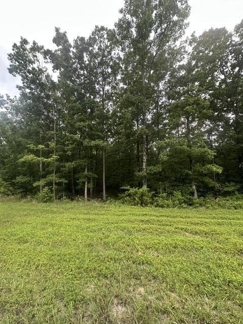 Photo of Listing #3499698