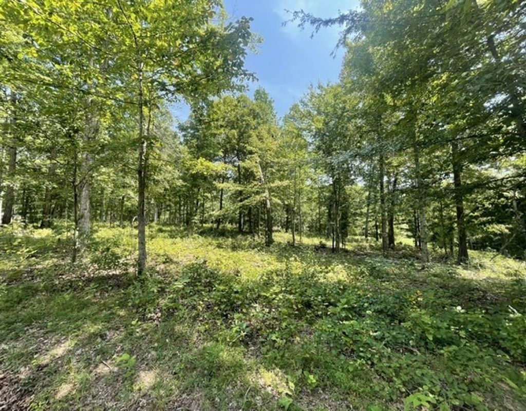 0 Hillcrest Road, Waverly