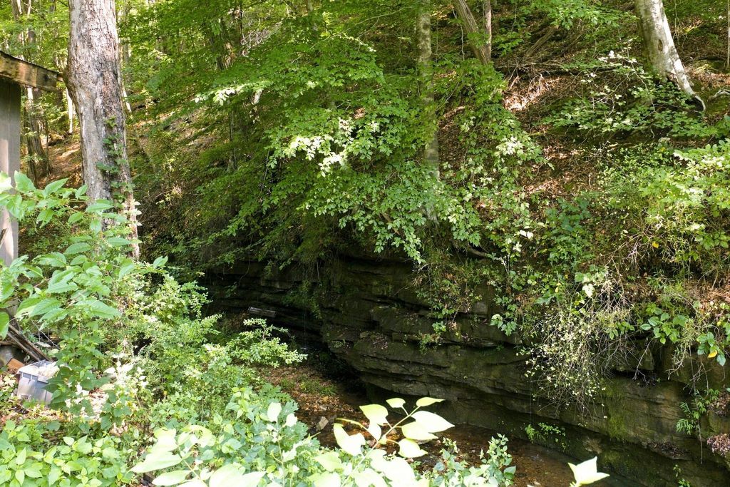 2024 Powdermill Hill Rd, Lawrenceburg
