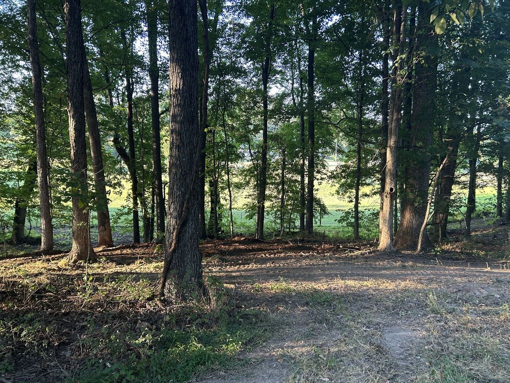 0 Cedar Creek Rd, Vanleer