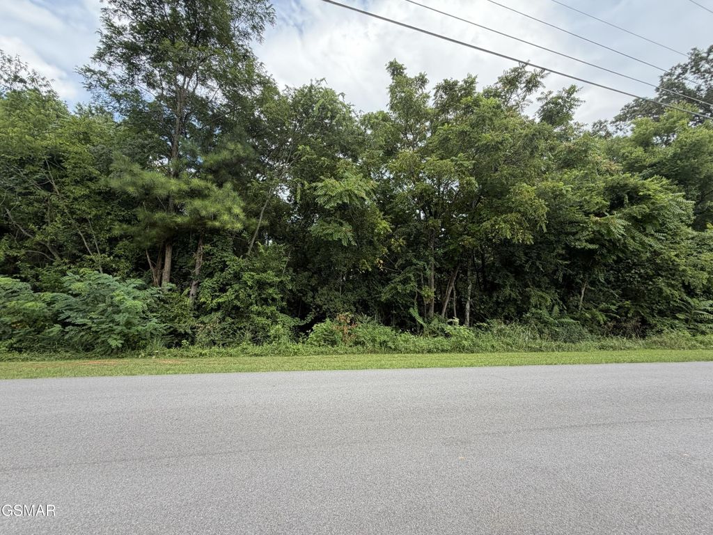 16 Sunrise Boulevard, Kodak