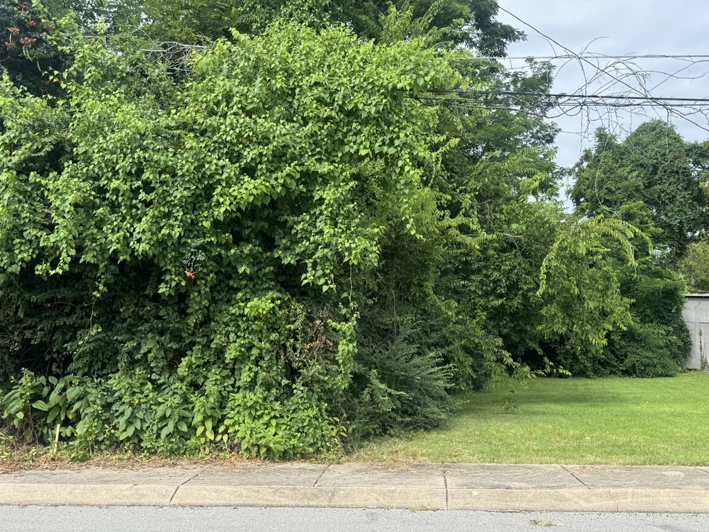 216 S Foster Ave, Gallatin