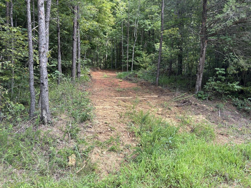 130 Tellico Camp Road, Madisonville