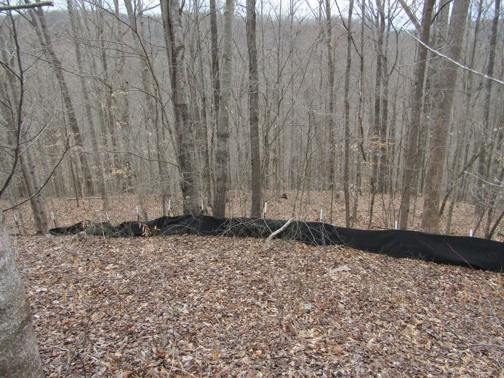 0 Bobcat Lane, Wilder
