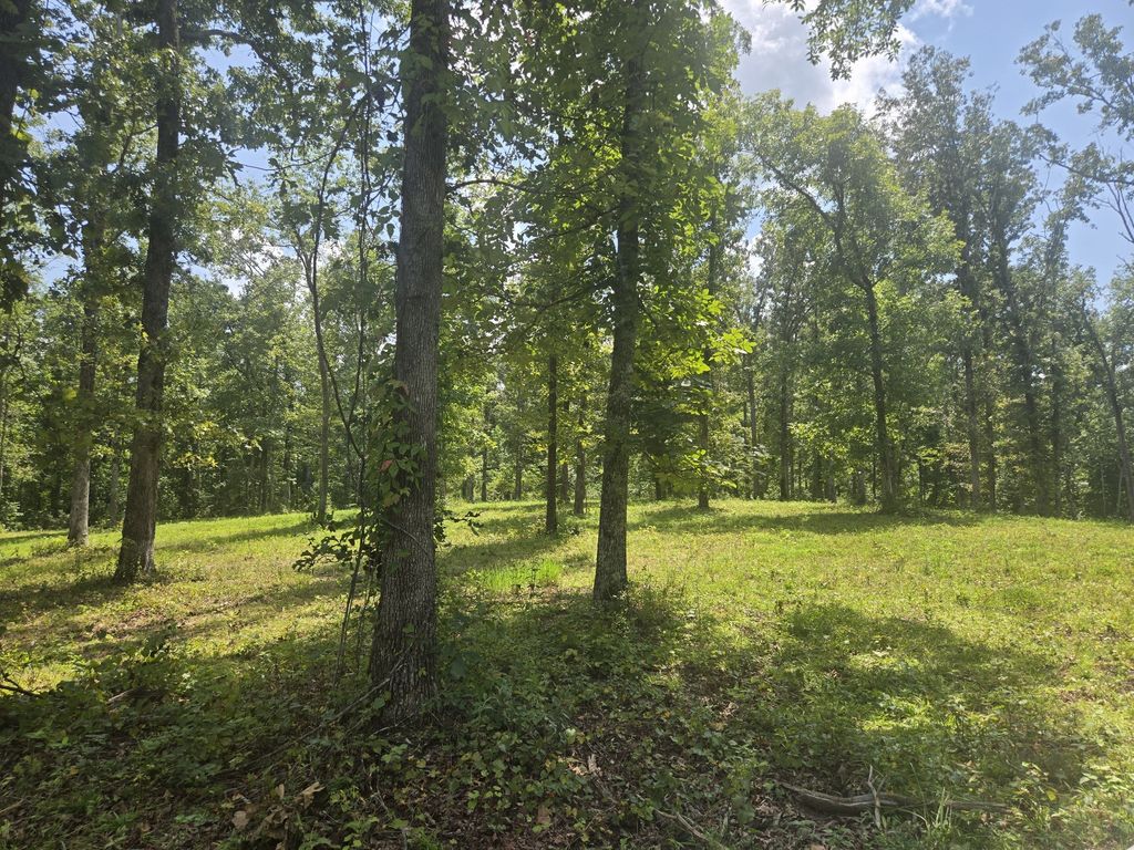 655 Dyer Rd, Hurricane Mills