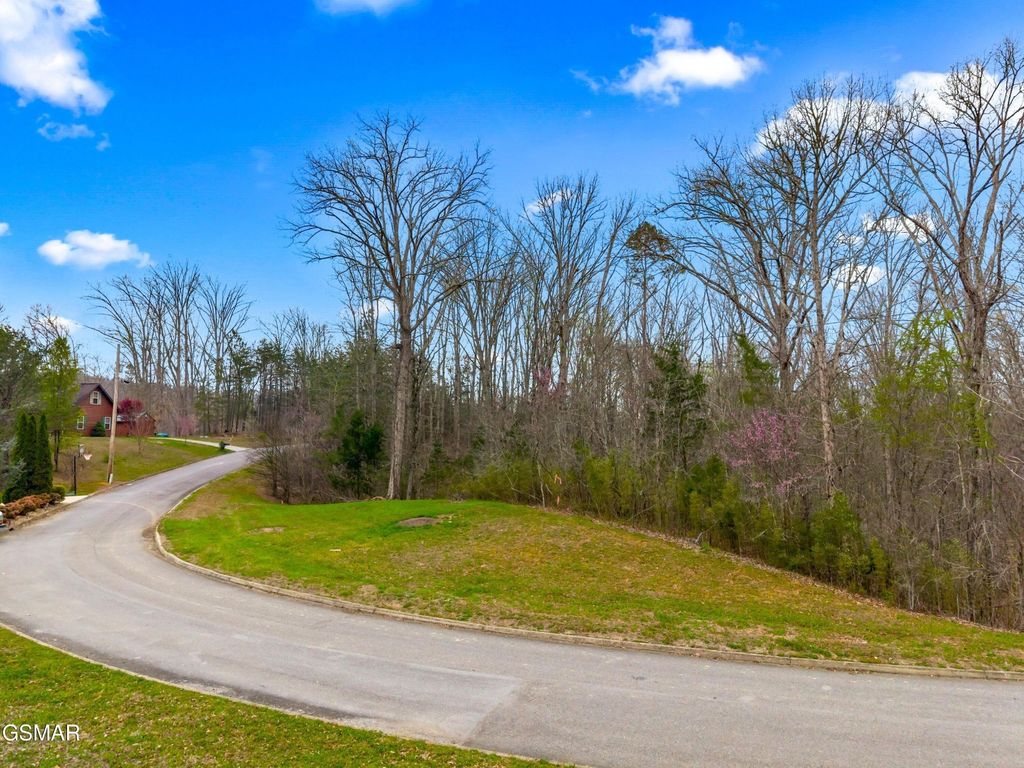 106 Turtle Dove Trail, Dandridge