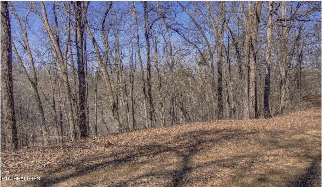 4585 Crooked Creek Way, Maryville