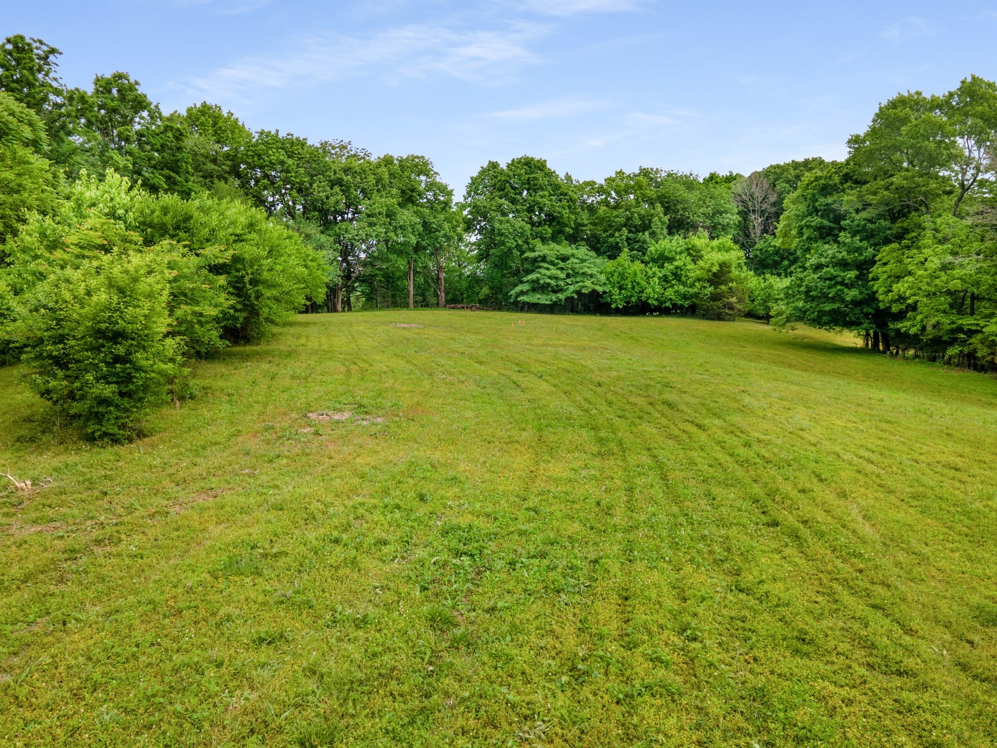 Photo of Listing #3510014