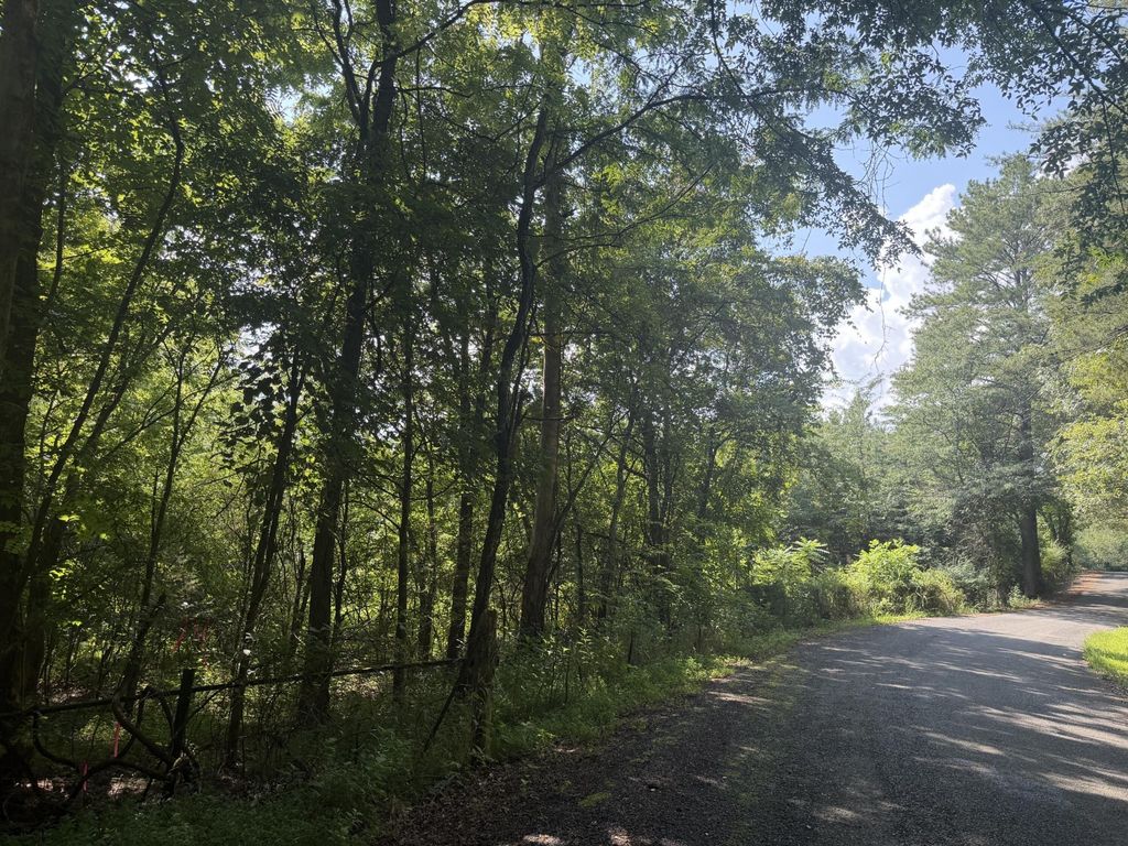 0 County Road 4, Calhoun