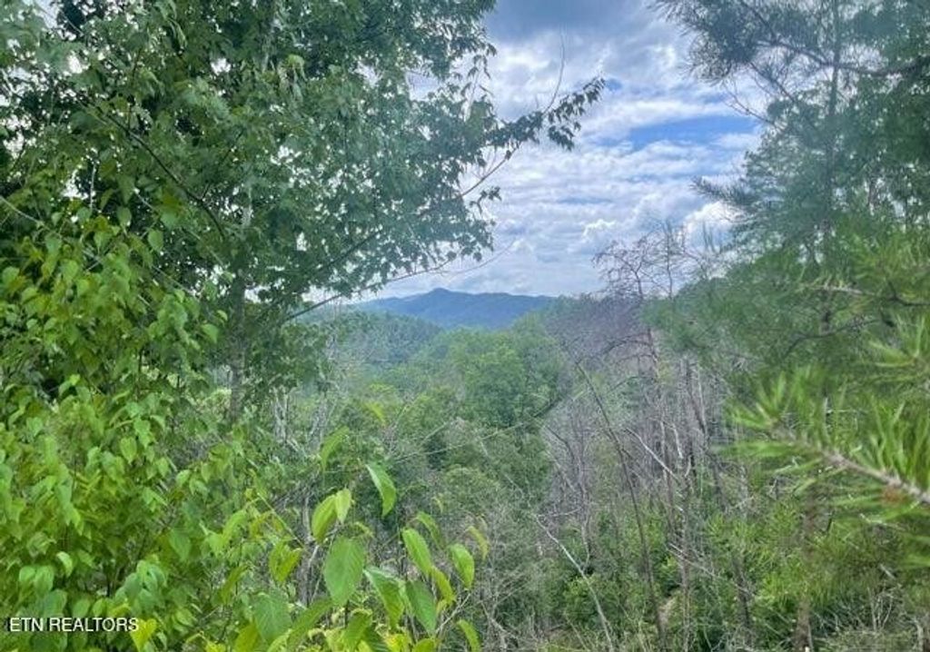 0 River Birch Way, Sevierville