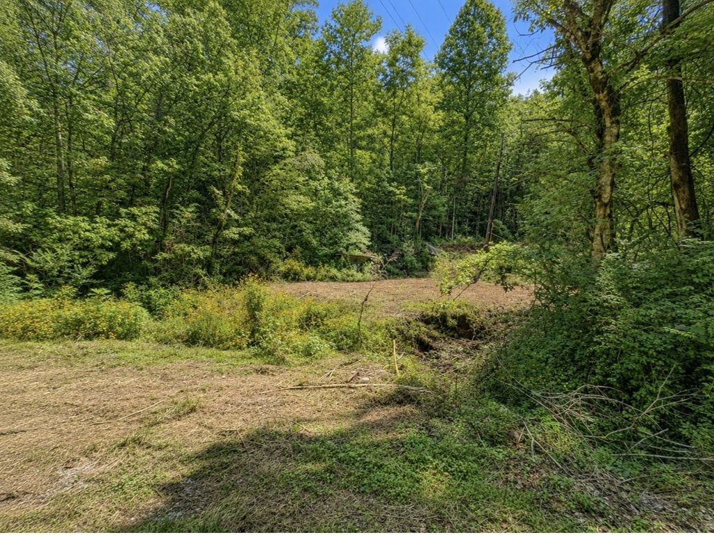465 Halls Hollow Rd, Smithville