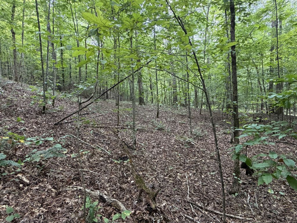 0 Deer Creek Rd, Linden