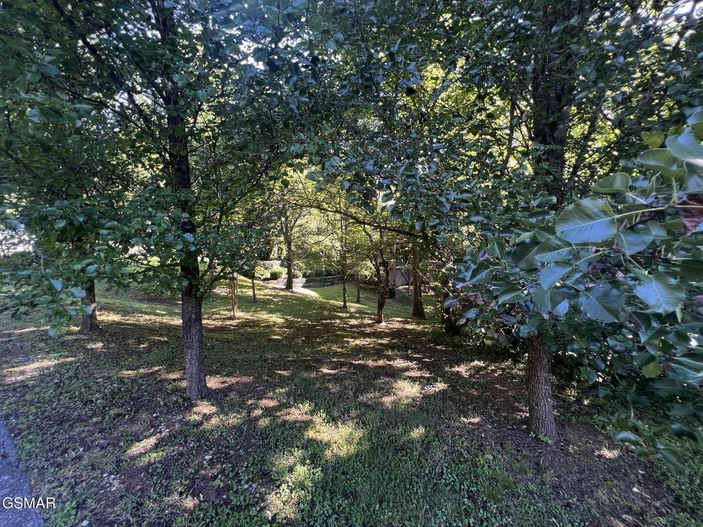 29 Scenic Woods Way, Sevierville