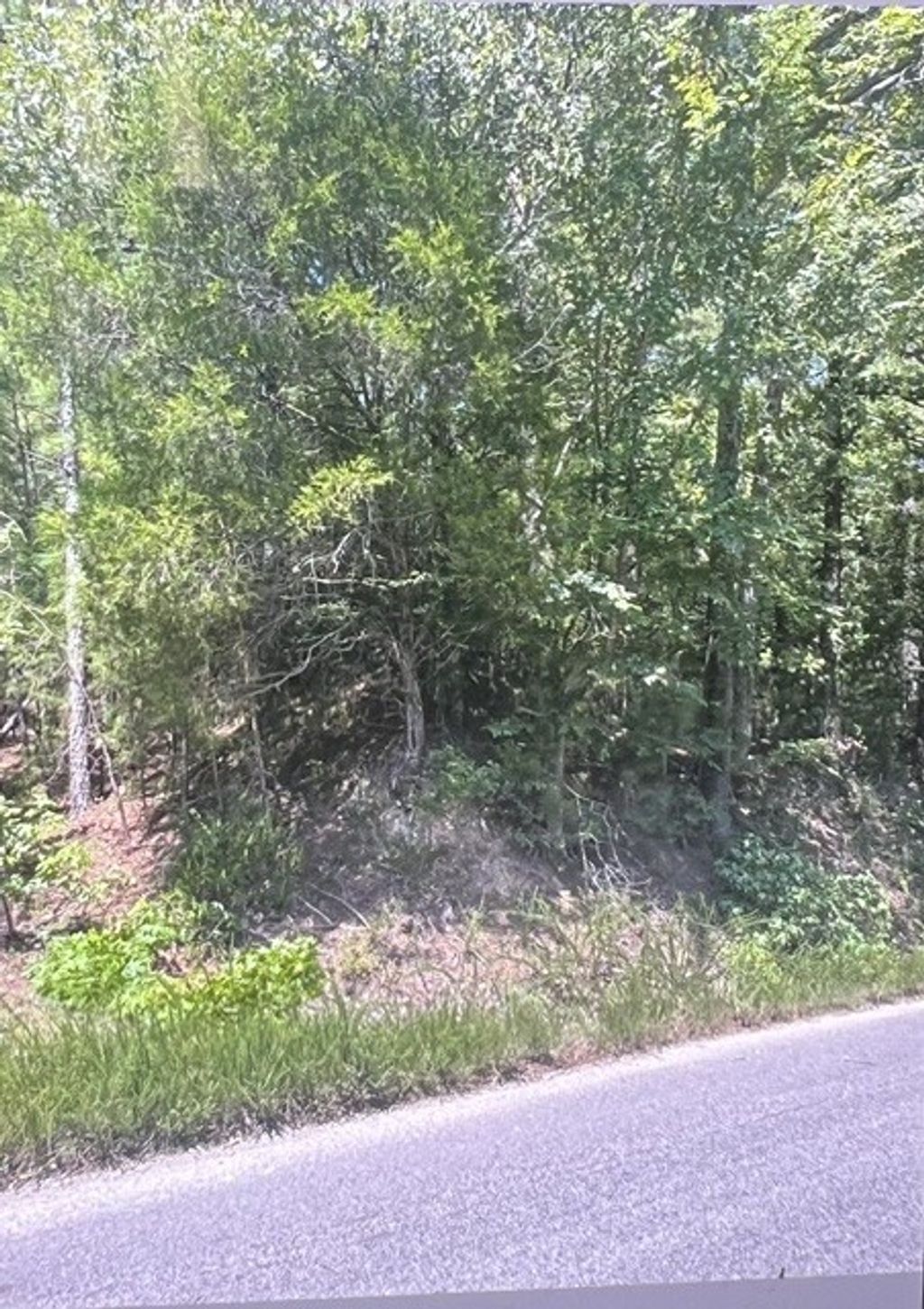 6450 Cuba Landing Rd, Waverly