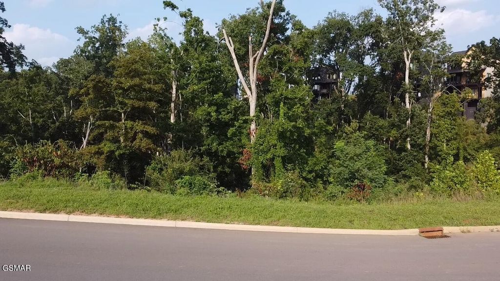 143 Reedmont Way, Sevierville